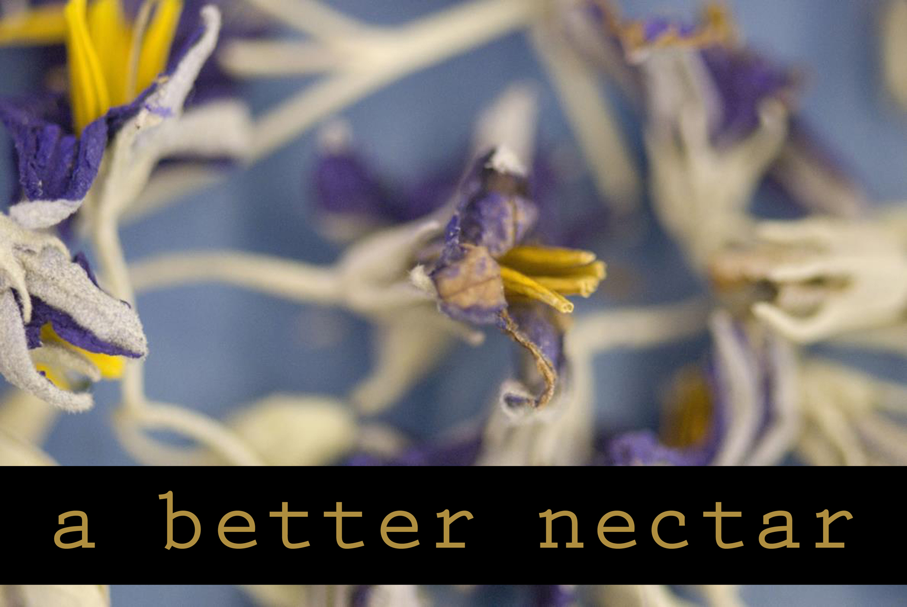A Better Nectar